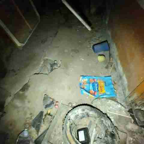 8031 conger (73).jpg